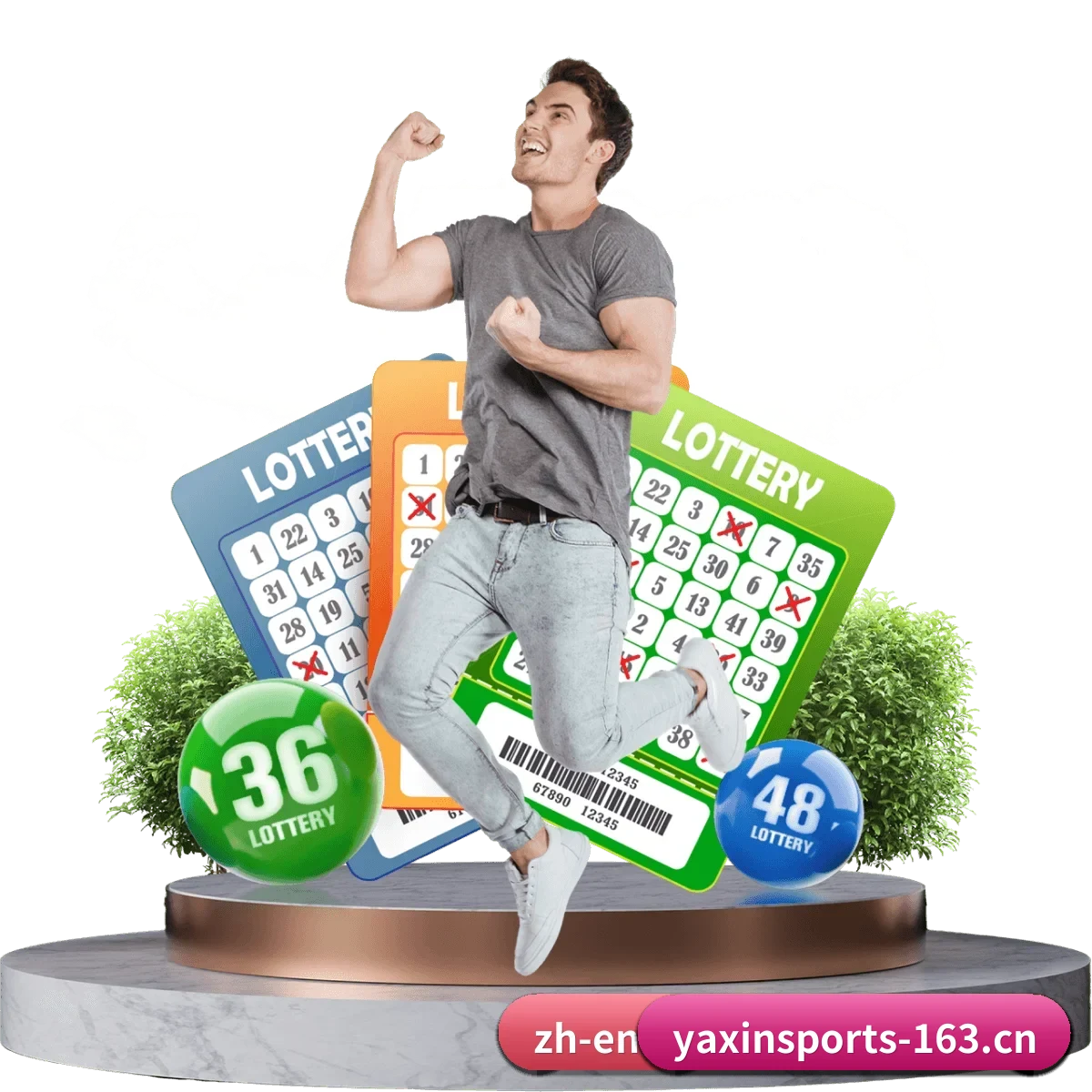亚新体育 APP 界面